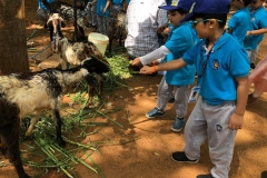 WhatsApp-Image-2024-10-09-at-3.51.08-PM